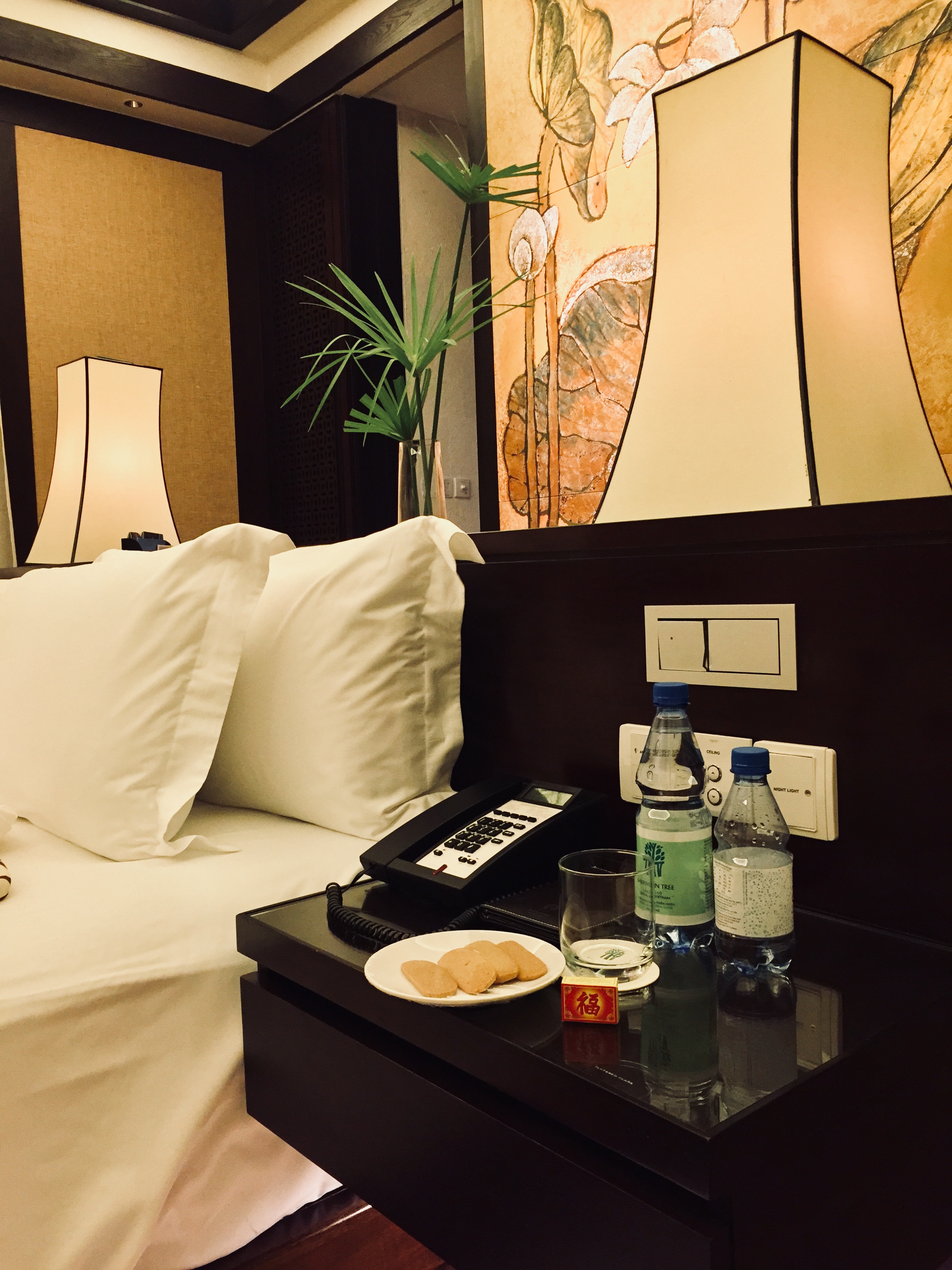 Խׯ Banyan Tree Lang Co
