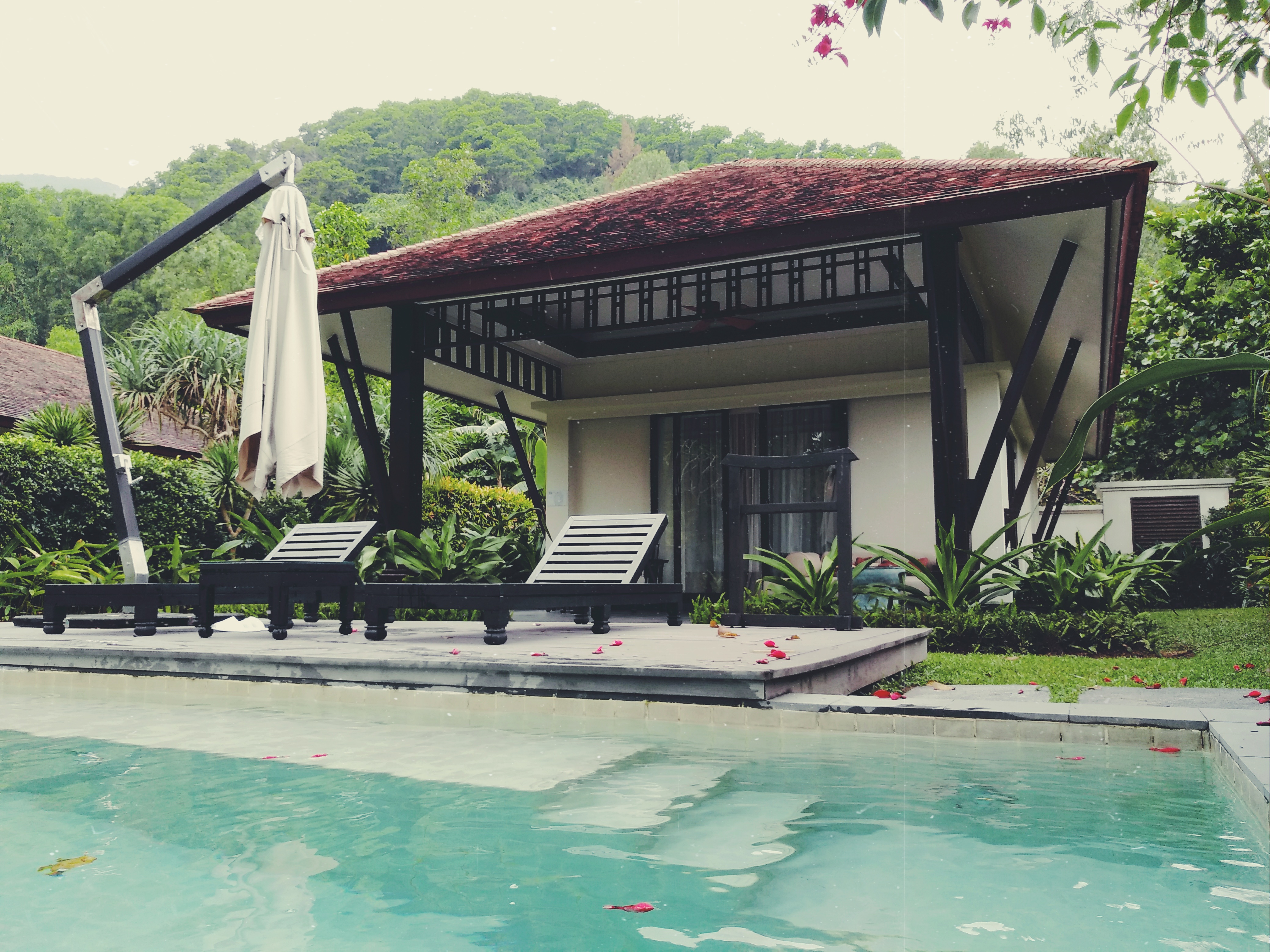 Խׯ Banyan Tree Lang Co