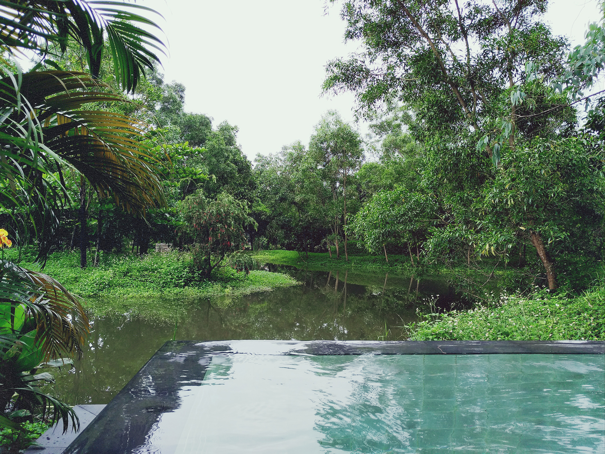 Խׯ Banyan Tree Lang Co
