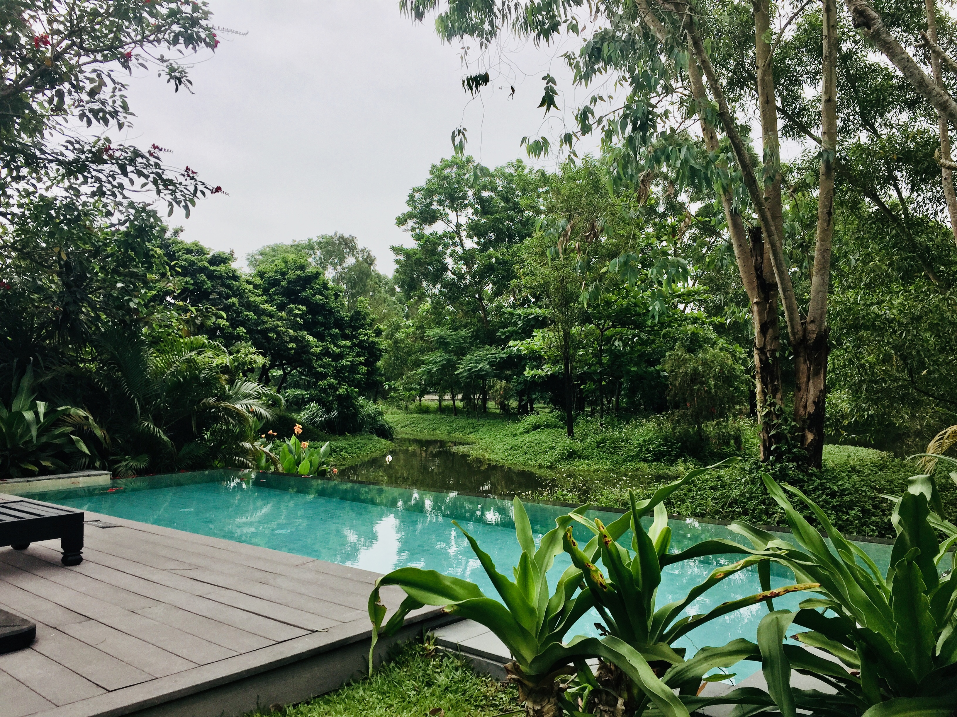 Խׯ Banyan Tree Lang Co