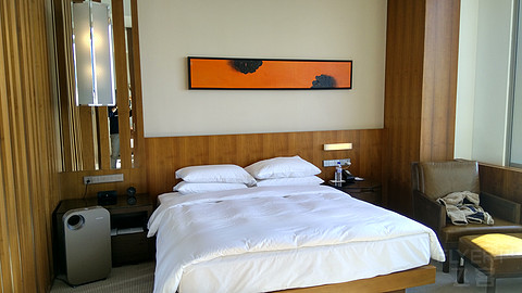 长春凯悦Regency Suite&Executive Suite嘉宾轩套房及行政套房