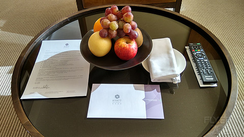长春凯悦Regency Suite&Executive Suite嘉宾轩套房及行政套房