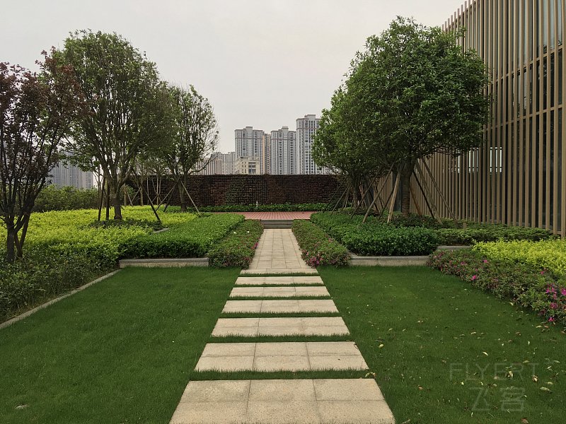 psb (36).jpg