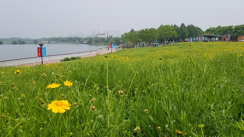 20180501_103035.jpg