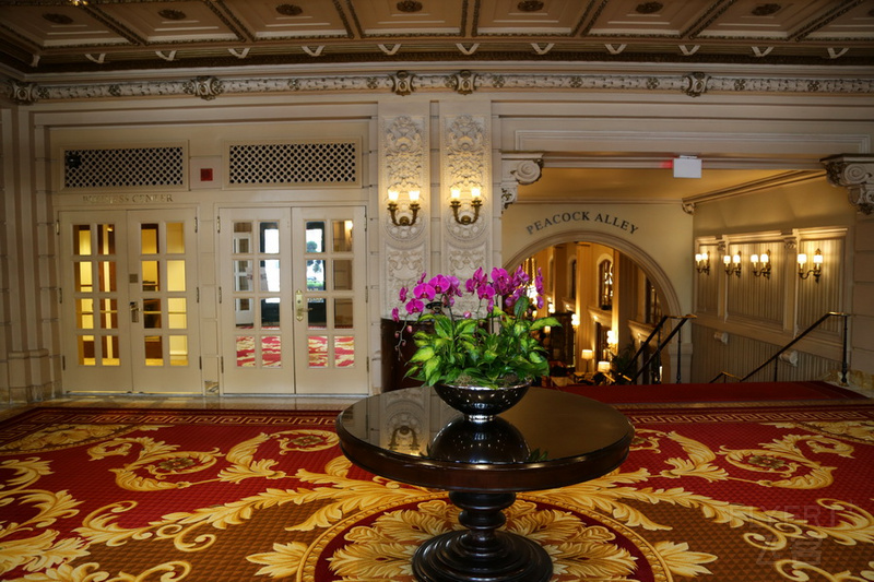 Washington DC--Willard InterContinental Washington DC Entrance (1).JPG