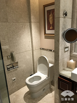 ɿʦWyndham Foshan Shunde ˳˳µķϵĺ԰