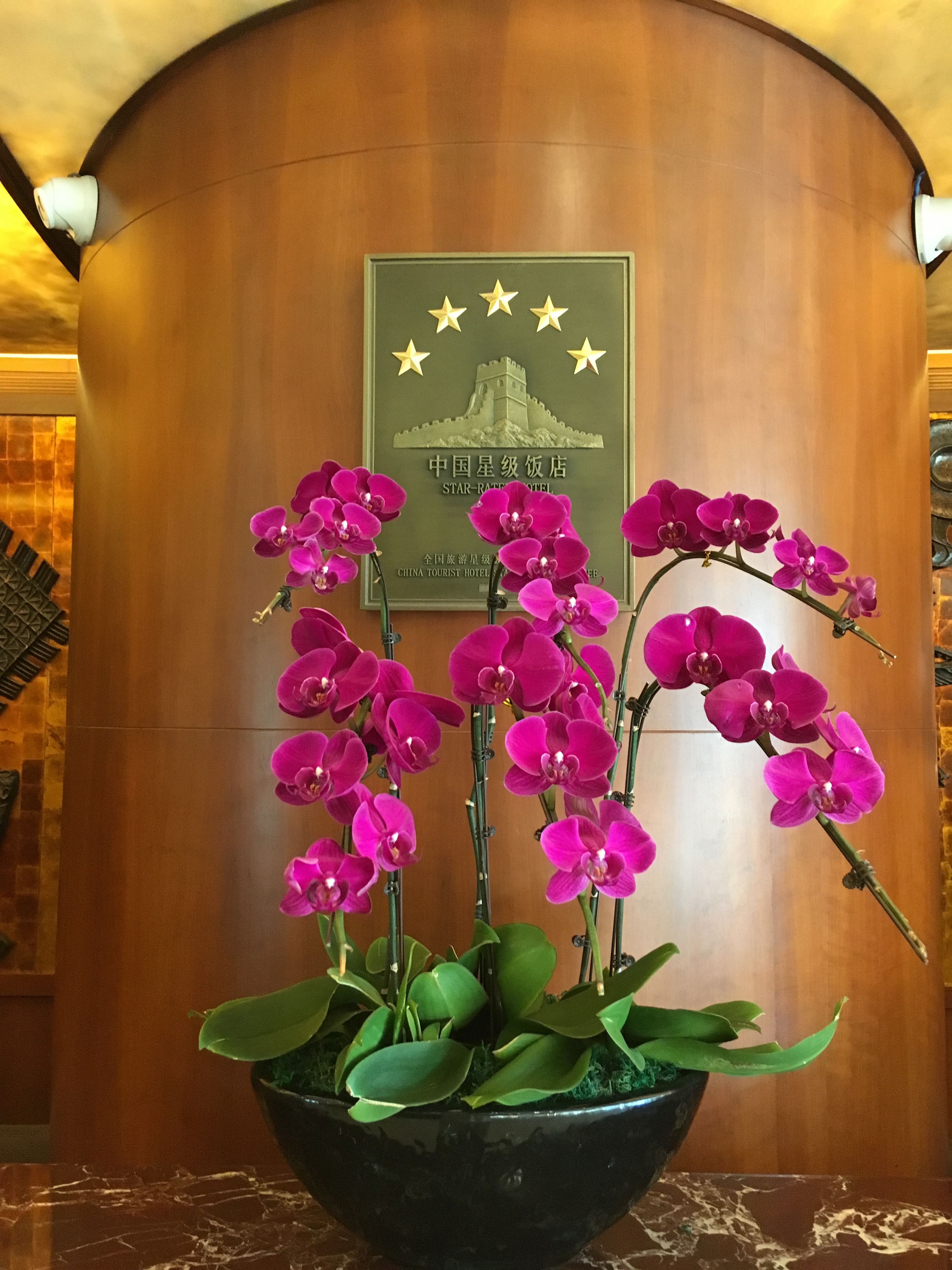 麣Crowne Plazaס