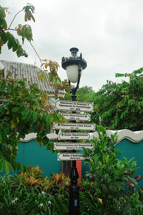 DSC05350.jpg