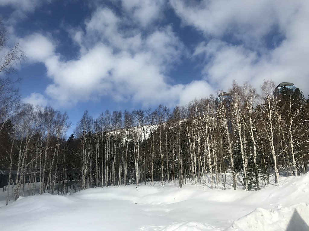 ҰTOMAMUȼٴ嶬ס