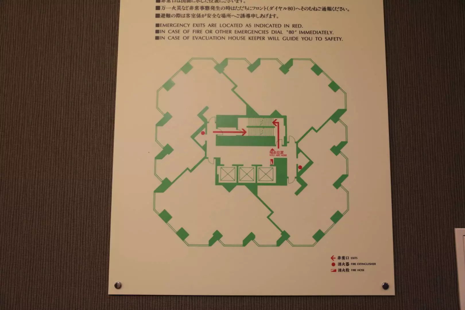 ҰTOMAMUȼٴ嶬ס