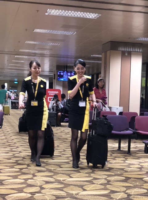 酷航(Scoot) 波音787-8 商务舱 (SIN-DMK)