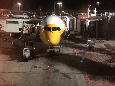 酷航(Scoot) 波音787-8 商务舱 (SIN-DMK)