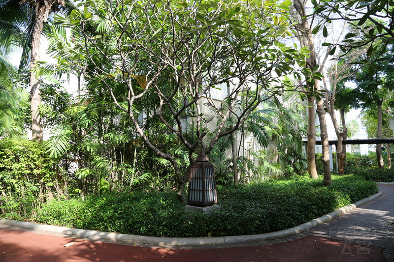 Hua Hin--Sheraton Hua Hin Resort & Spa Garden (5).JPG