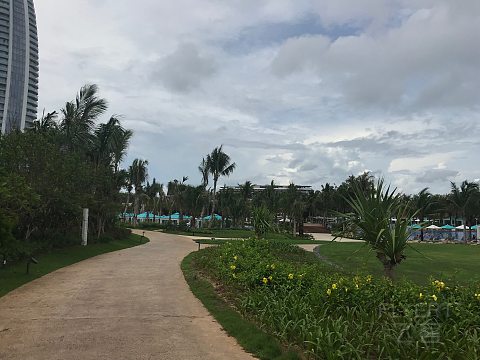 IMG_6971.jpg