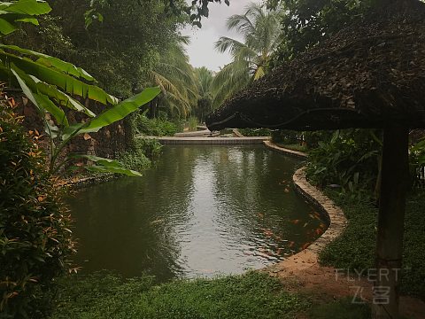IMG_7085.jpg