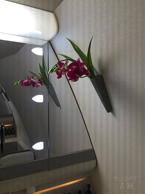 SEA-TPE-BKK-CMB（长荣种草记）
