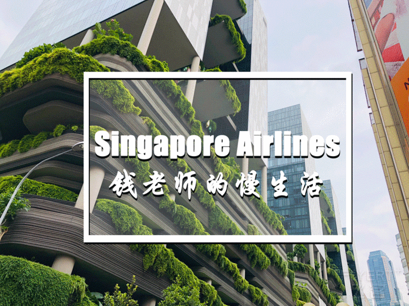 新加坡航空标