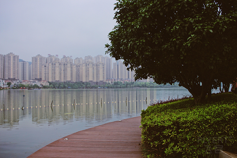 20180602_8E2541B5-C5BB-4218-A5A2-D756FF55EFF0.jpg