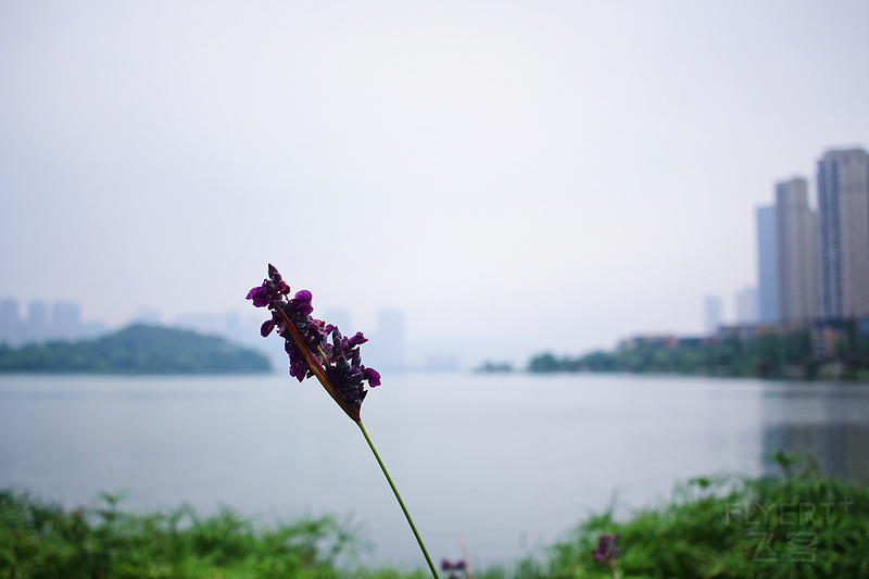 20180602_151BF6D9-BA3A-40C8-9632-B608264DAA4F.jpg