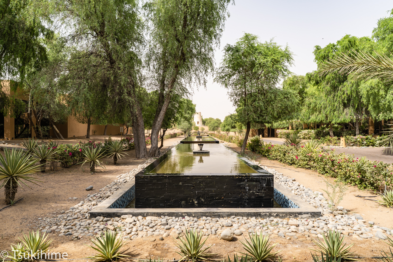 ǵɳĮޡThe Ritz-Carlton Ras Al khaimah, Al Wadi Desert