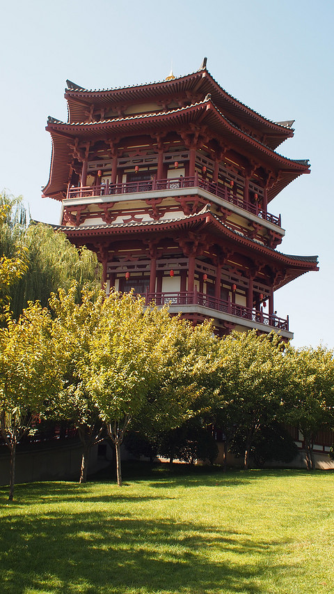 PA014261.JPG