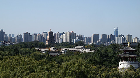 PA014283.JPG