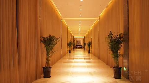 PA014447.JPG