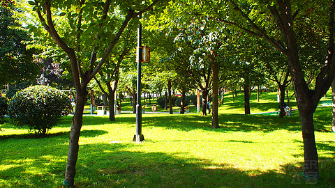 PA024471.JPG