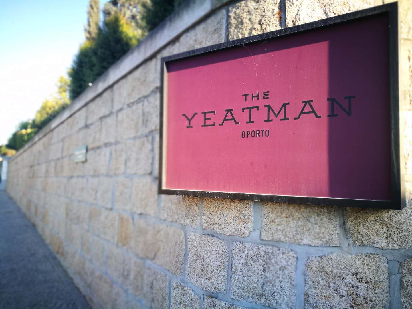 Ķҿ֮ͼThe Yeatman