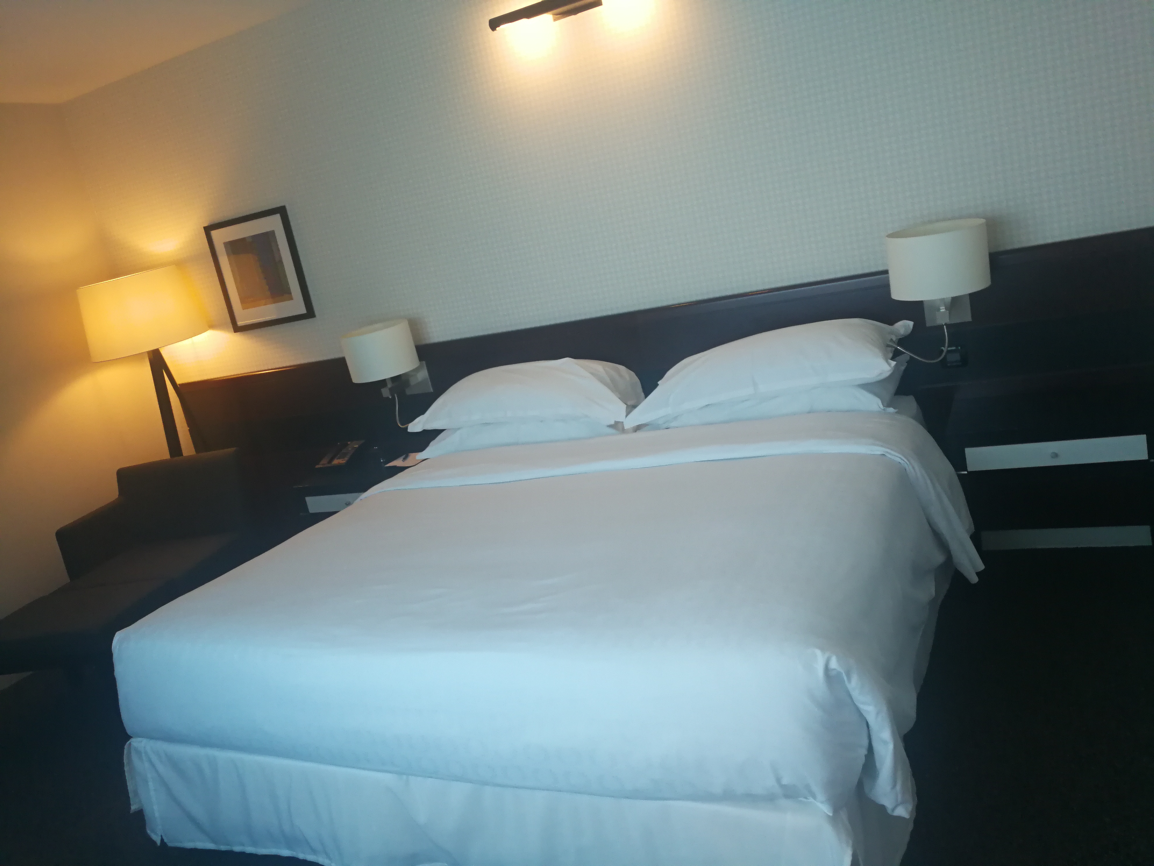 ķ˹صϲ Sheraton Amsterdam Airport