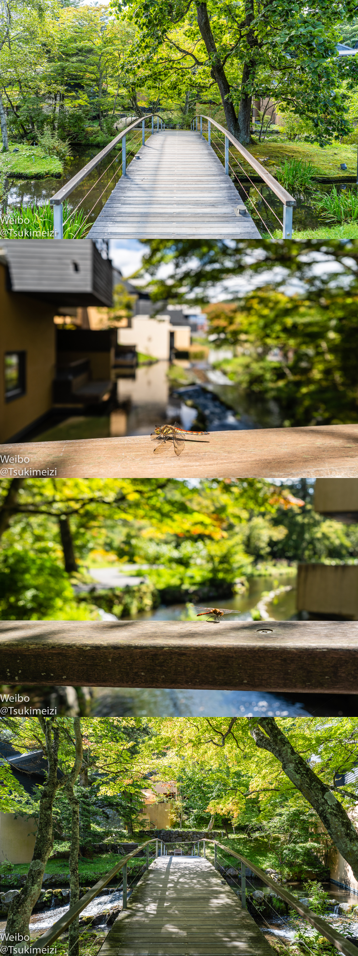 Ұ׼콢ꡪϦŵšᾮ (Hoshinoya Karuizawa)