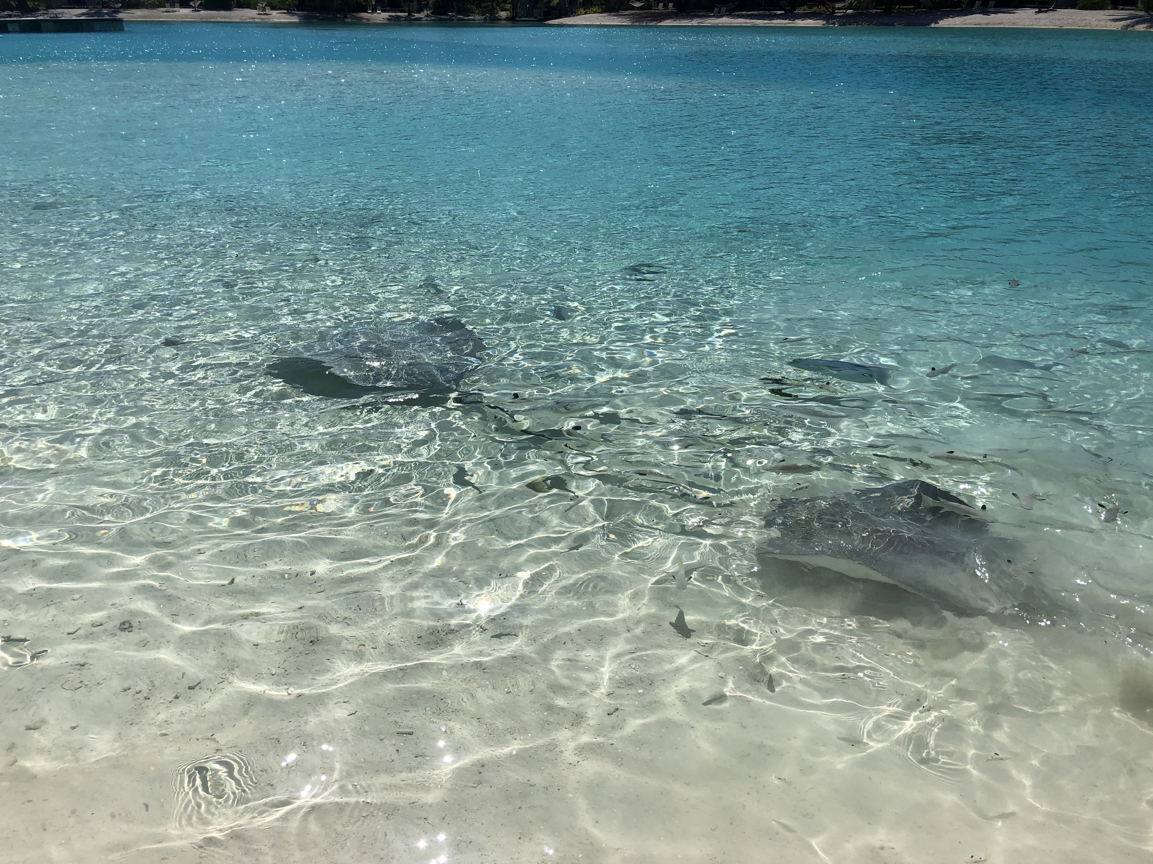 Ϫ  Le Mridien Bora Bora