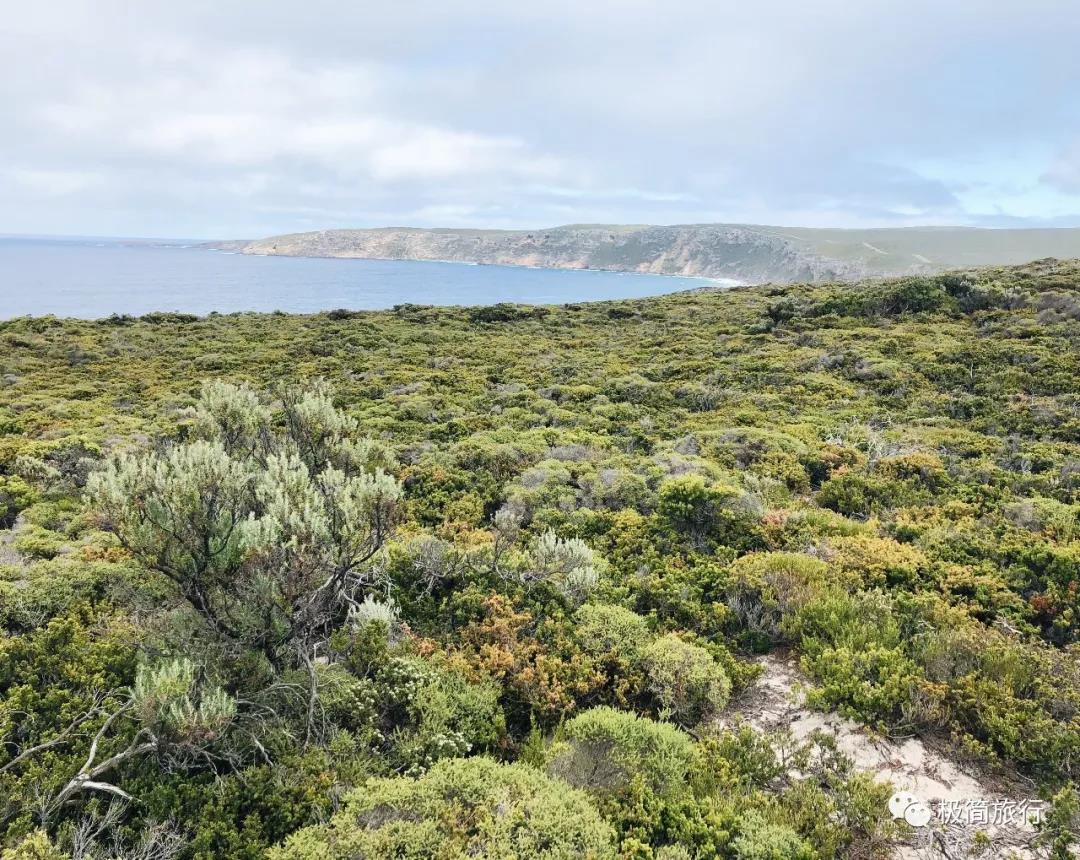 ޴Southern Ocean LodgeҲֵ!