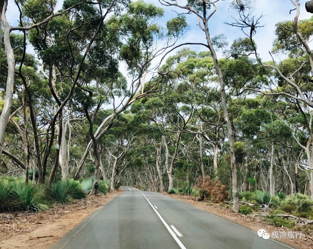 ޴Southern Ocean LodgeҲֵ!