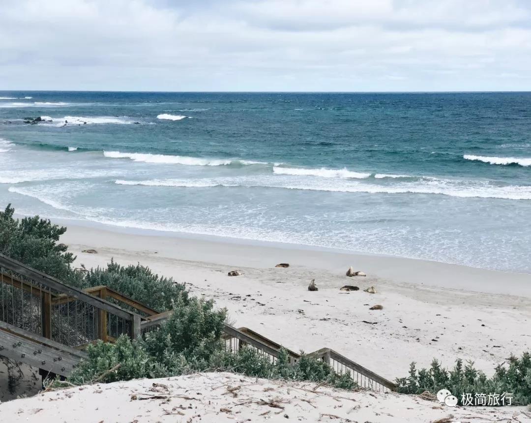޴Southern Ocean LodgeҲֵ!