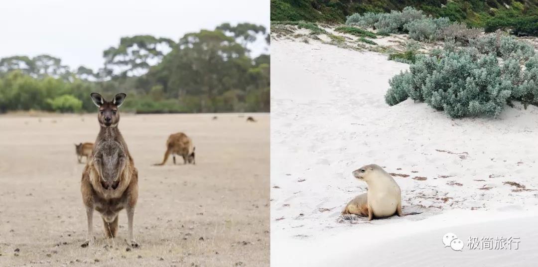 ޴Southern Ocean LodgeҲֵ!