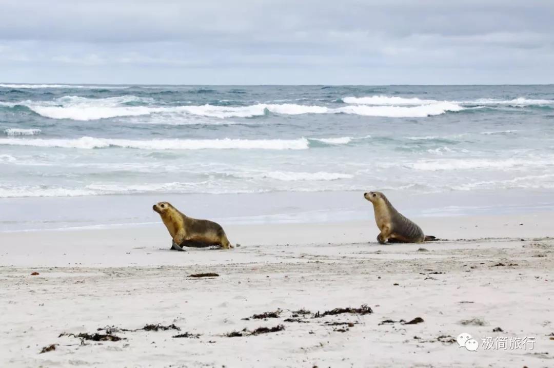 ޴Southern Ocean LodgeҲֵ!