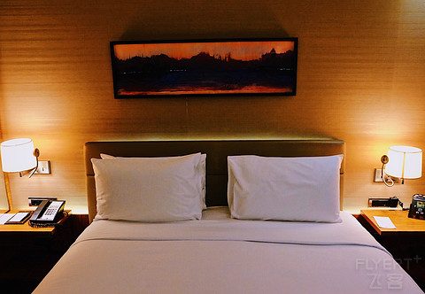 [ѹ] Weekend Getaway | ˹̹ϣDϳ Double Tree By Hilton Istanbul Old Town