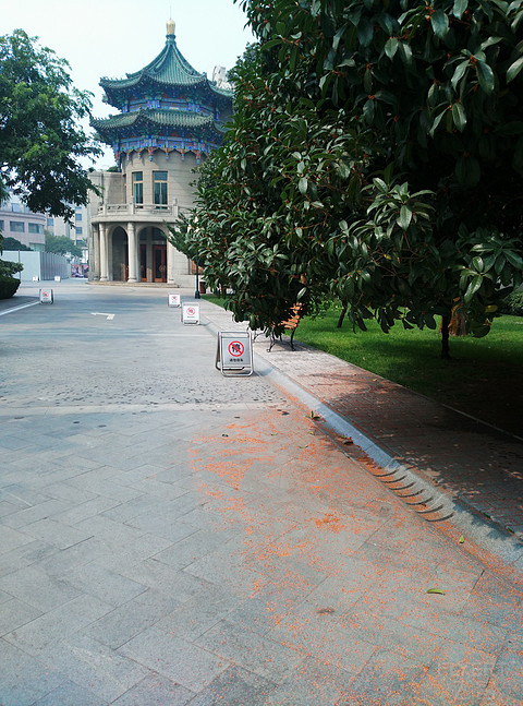 北京华尔道夫&半岛&西安索菲特传奇，奢华酒店大PK（多图）