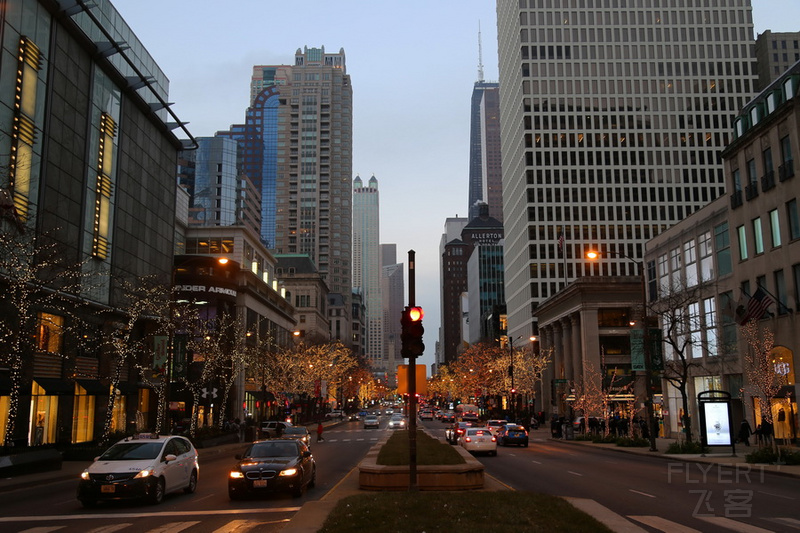 Chicago Skyline at Night (15).JPG