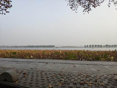 品蟹赏湖游记之二---城中香格里拉TLC体验