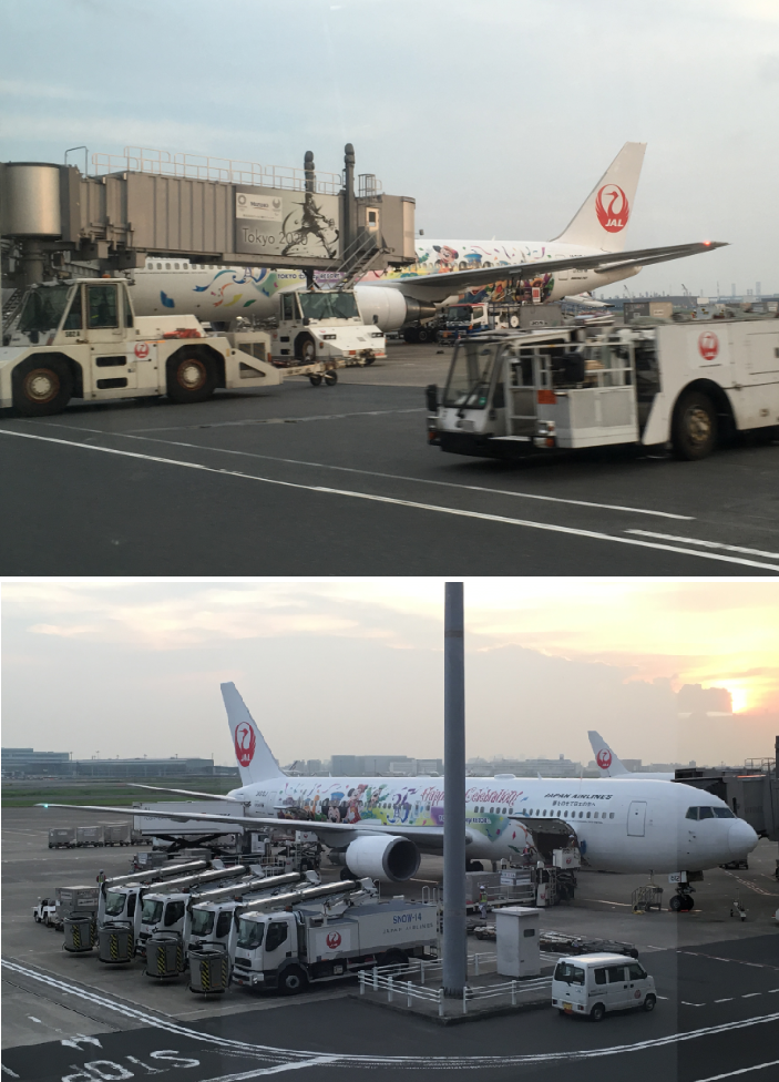 JAL 82/85/86 + JGCб棬˵ĵ˹ʻƬ