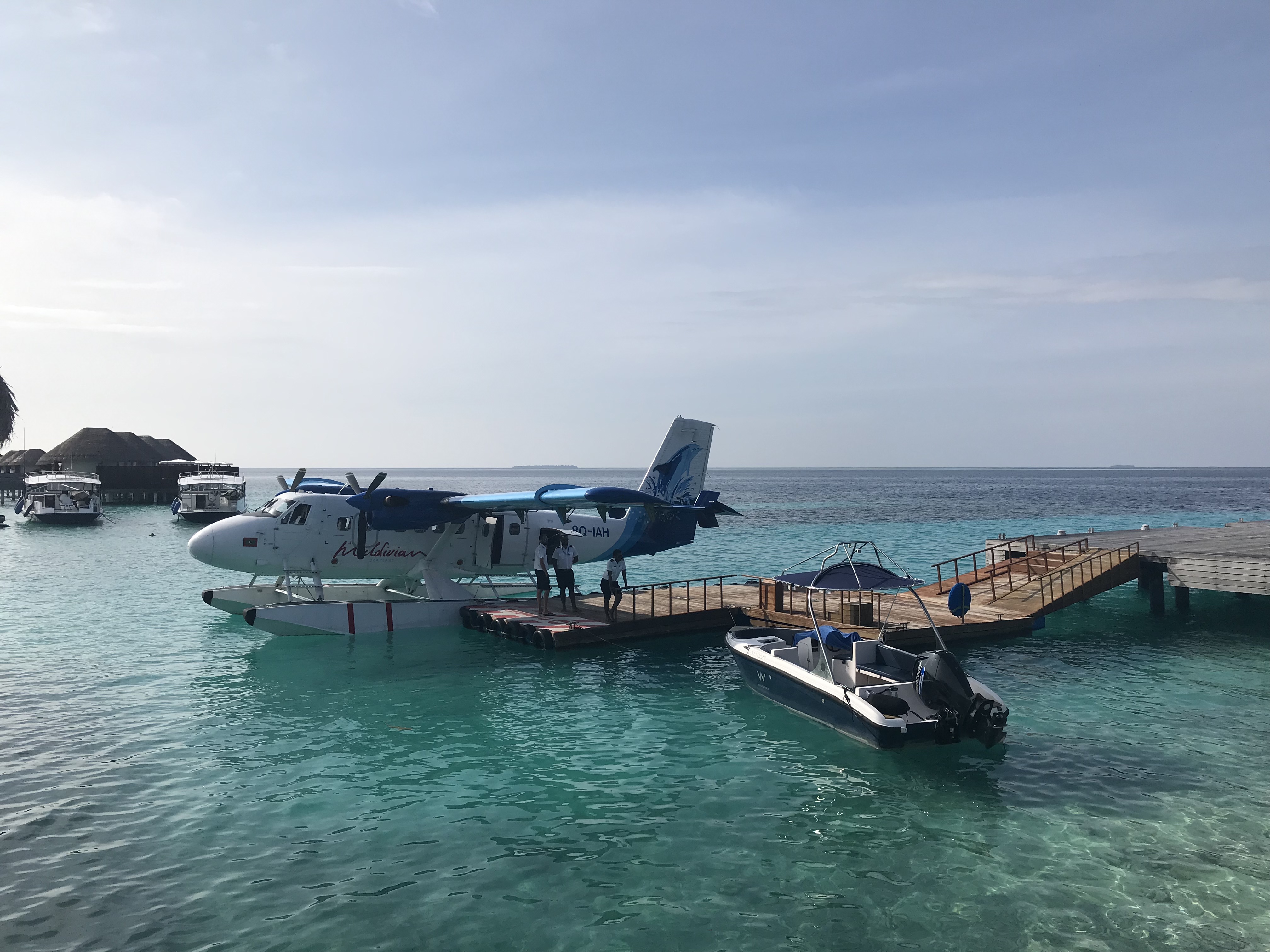 W MaldiveƵ鱨