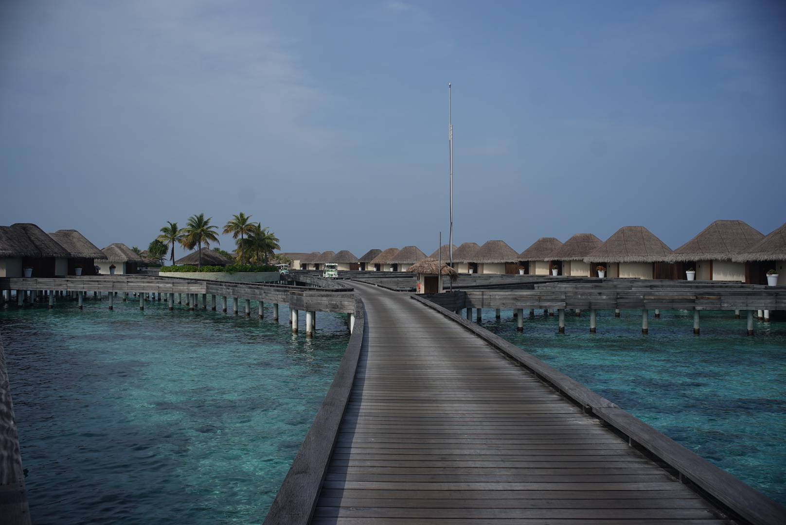 W MaldiveƵ鱨