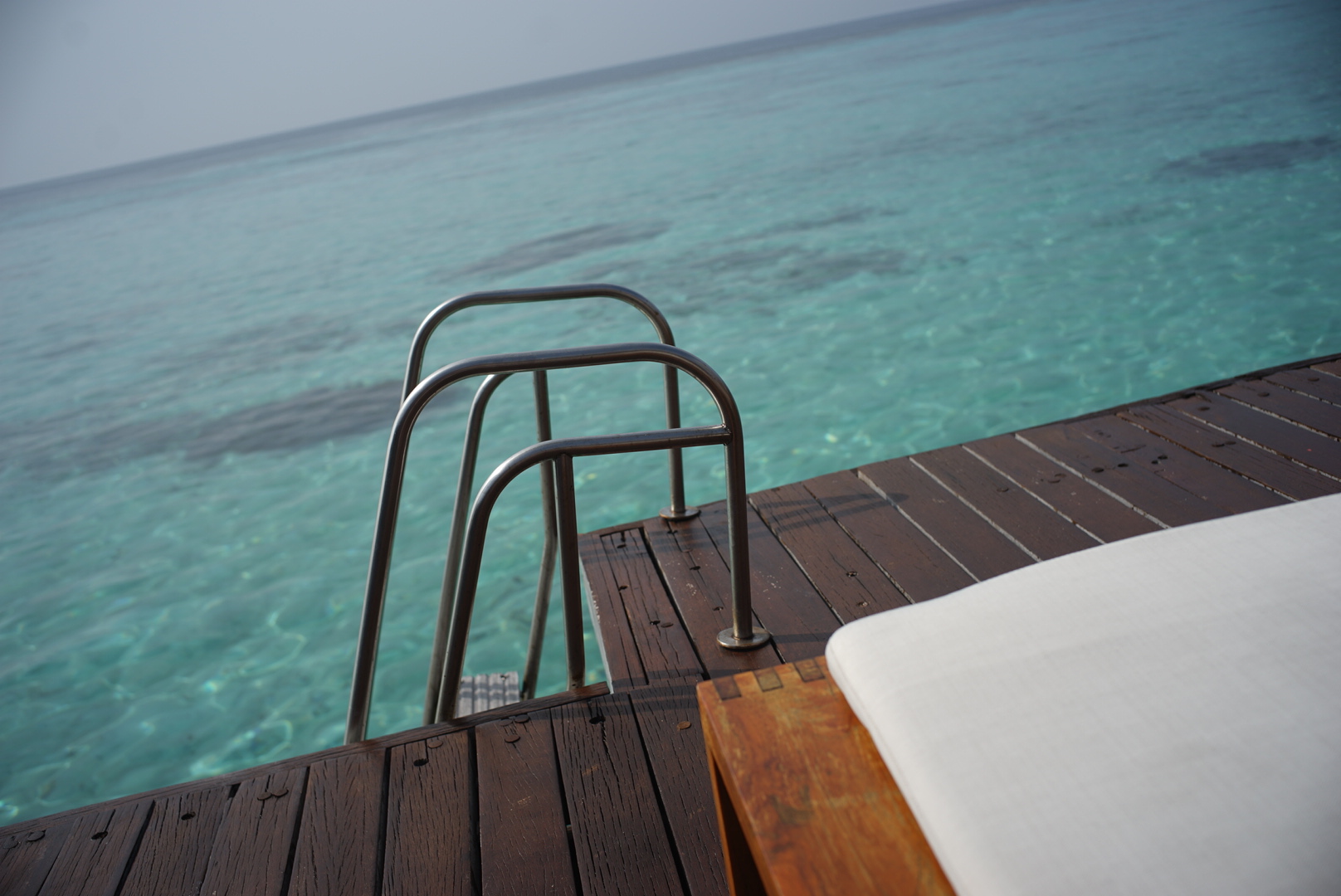 W MaldiveƵ鱨