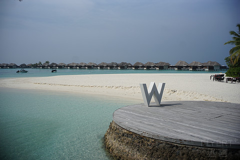 W MaldiveƵ鱨