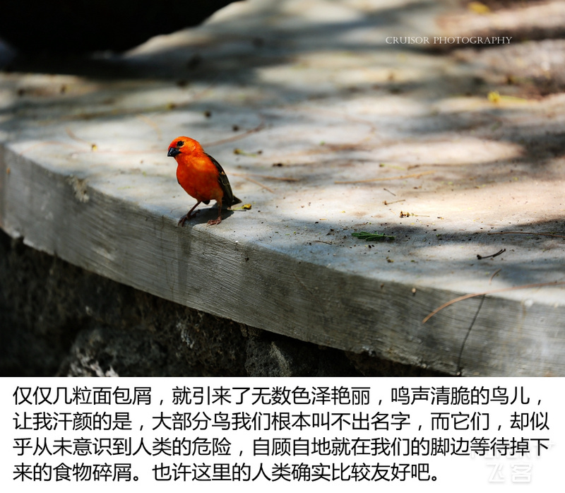 4180_副本.jpg