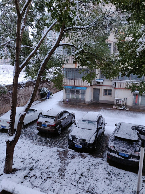 IMG_20190208_064857.jpg