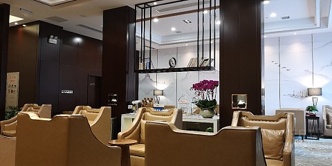 经典白权益 -