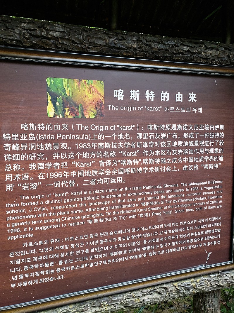 20190210_112328.jpg